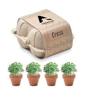 CRESS Terracotta Cress Growing Kit in Egg Carton