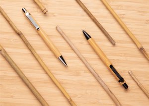 XD Collection P610.32 - Bambus pen